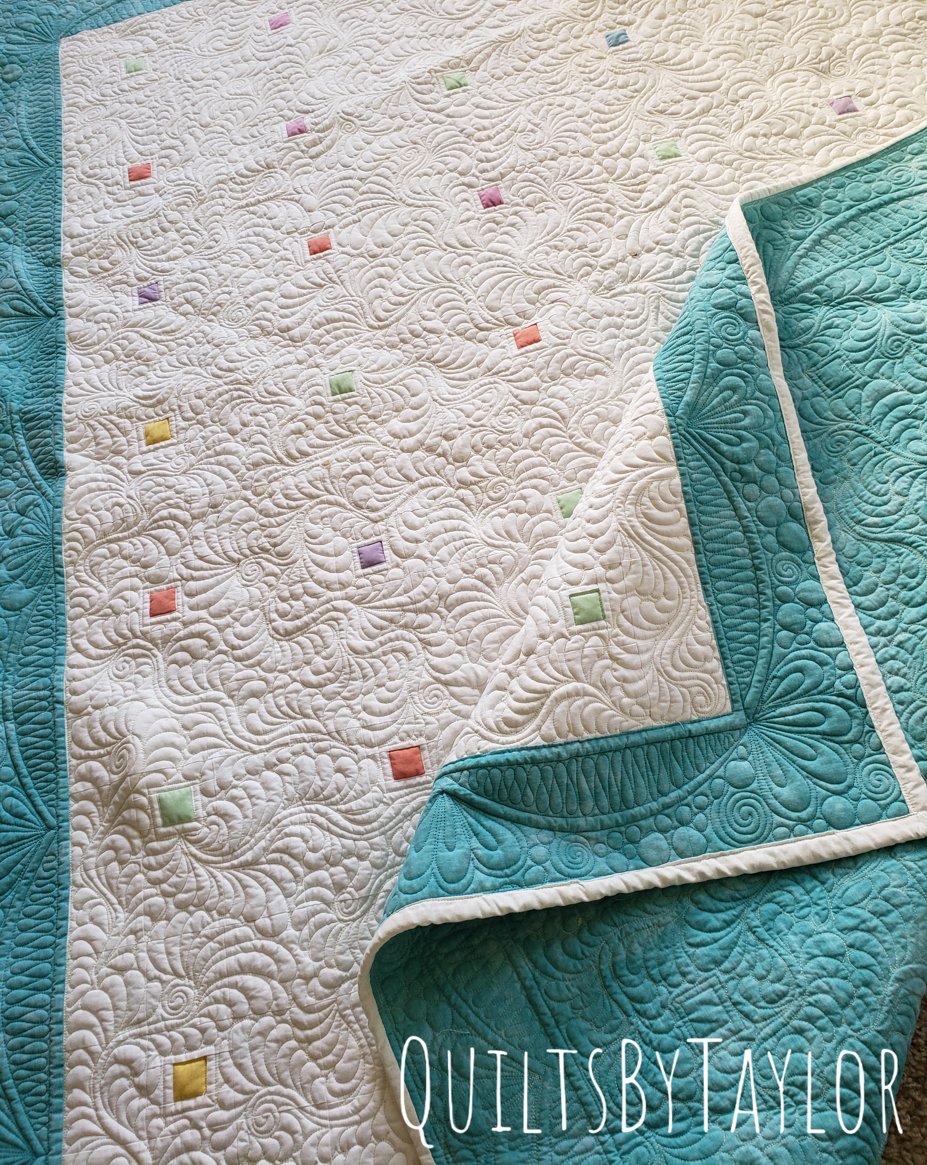 Handmade Quilts for Sale/ Finished Quilt/ whole cloth quilts/ quilts by taylor/ swany feathers